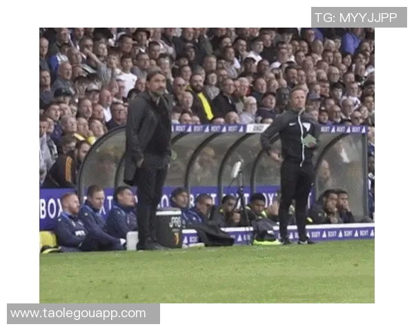 利兹竞赛中一名愤恨的球迷企图与主帅法尔克坚持，被保安带走